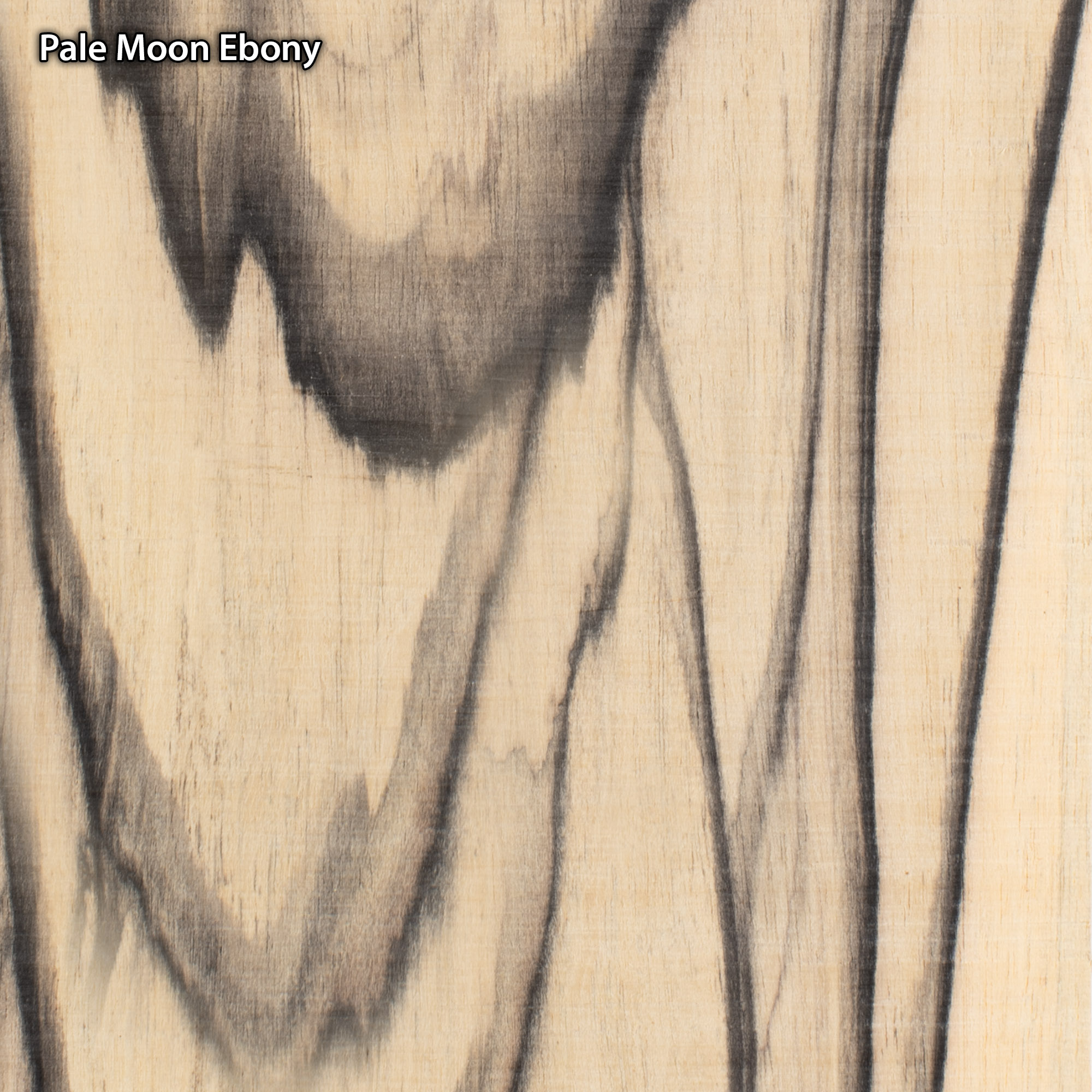 Peghead Overlay Veneer