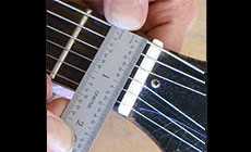 Gibson nut