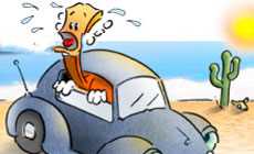 Hot car-toon