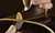 Using Neck Set Sandpaper
